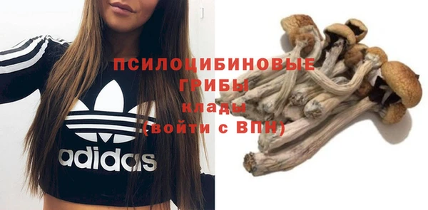 гашик Надым