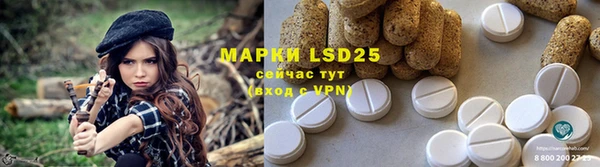шишки Наволоки