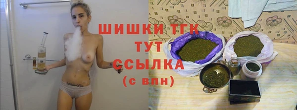 гашик Надым