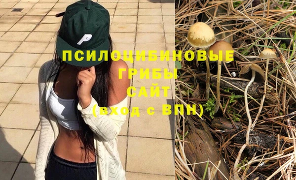 гашик Надым