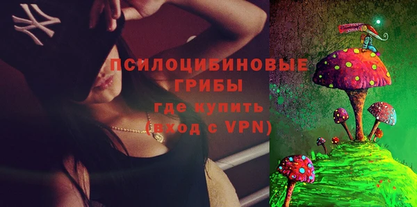 ГАЛЛЮЦИНОГЕННЫЕ ГРИБЫ Ахтубинск