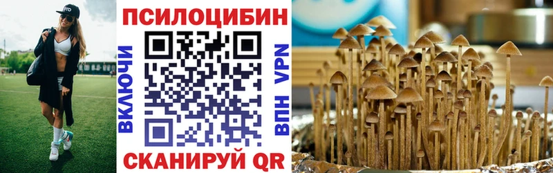 Галлюциногенные грибы Psilocybine cubensis  закладка  Орск 