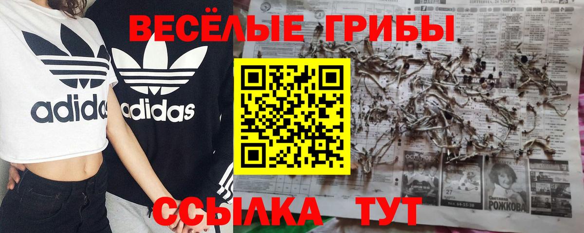 Орск  Псилоцибиновые грибы Psilocybine cubensis  Галлюциногенные грибы ЛСД  где купить наркоту  Вход с VPN 