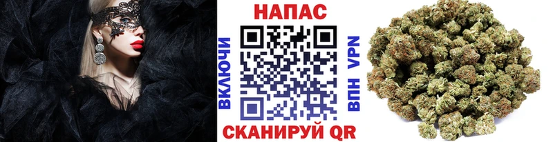 Бошки Шишки план  Орск 